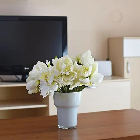 Holiday home Dora Comfortable Labin (Istria)